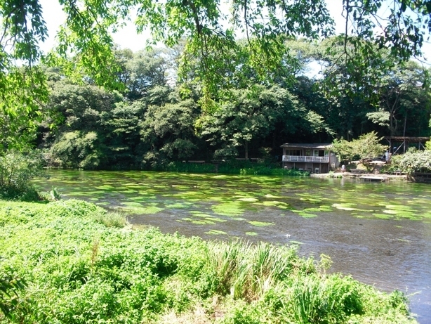 �J���L���u���O