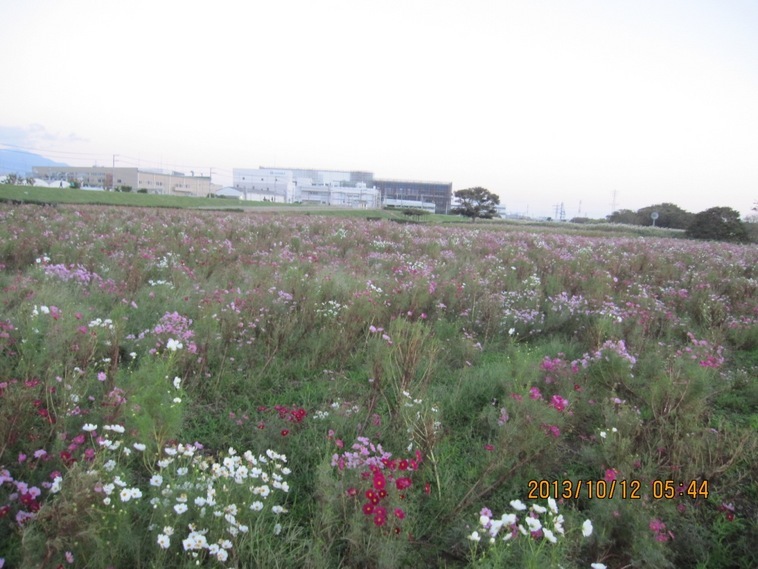 �J���L���u���O