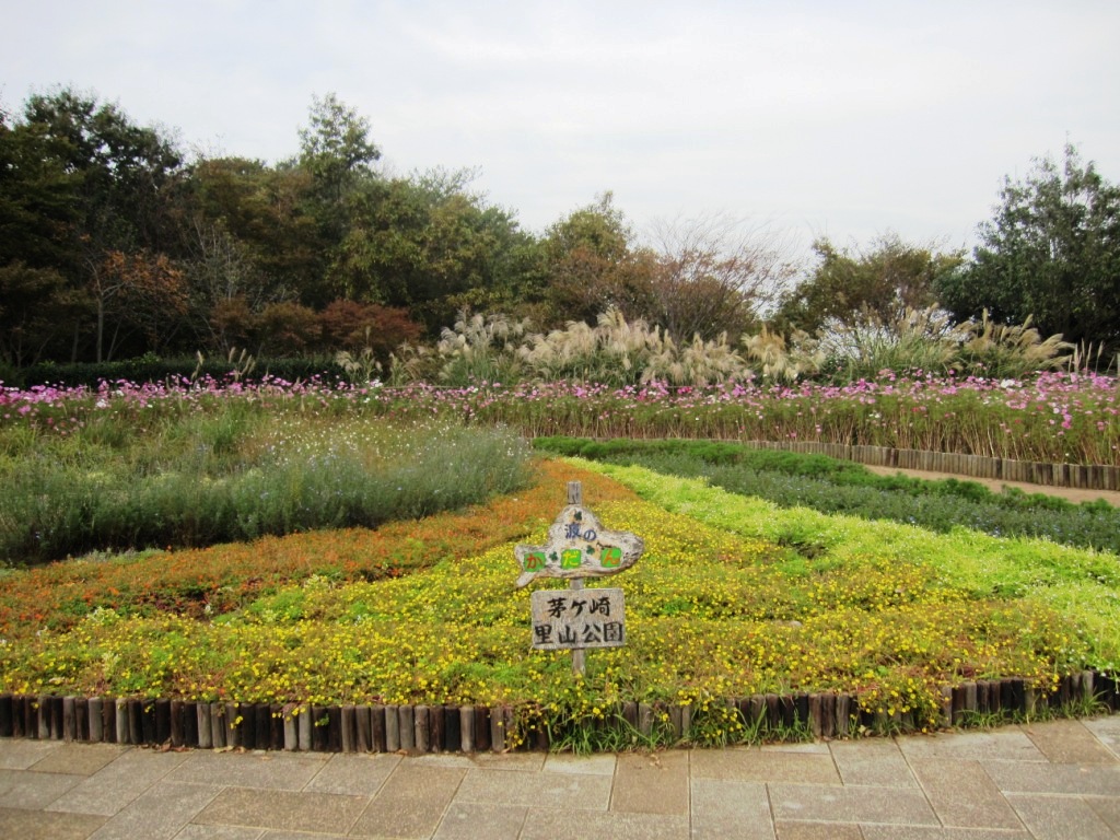 �J���L���u���O