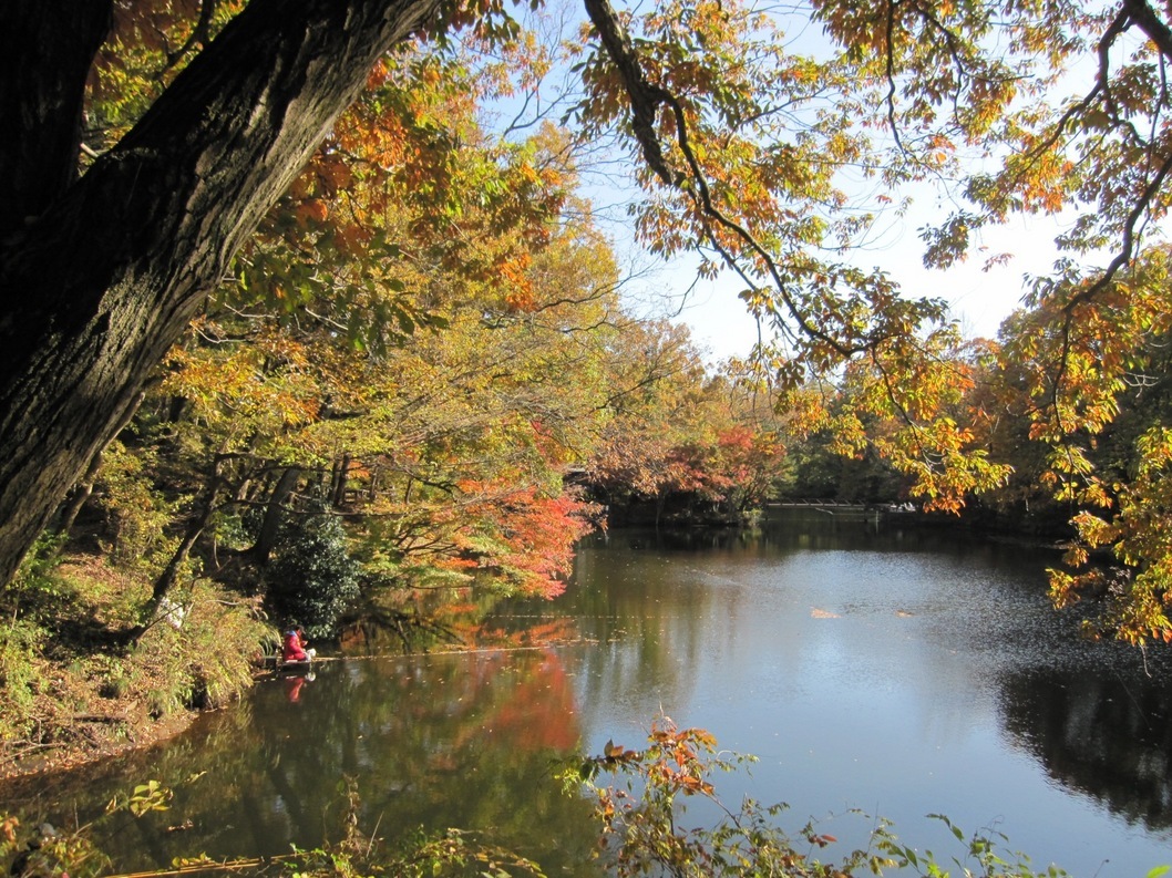 �J���L���u���O