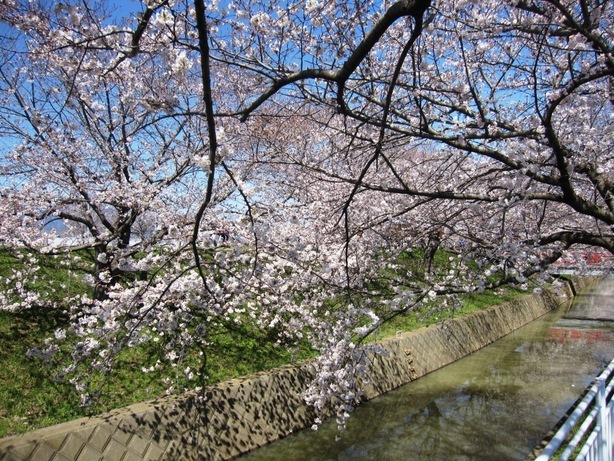 �J���L���u���O