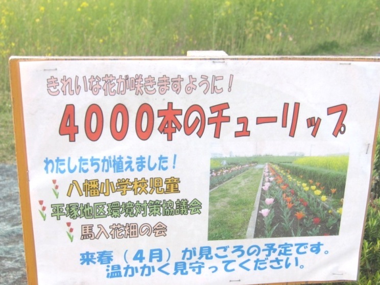 �J���L���u���O