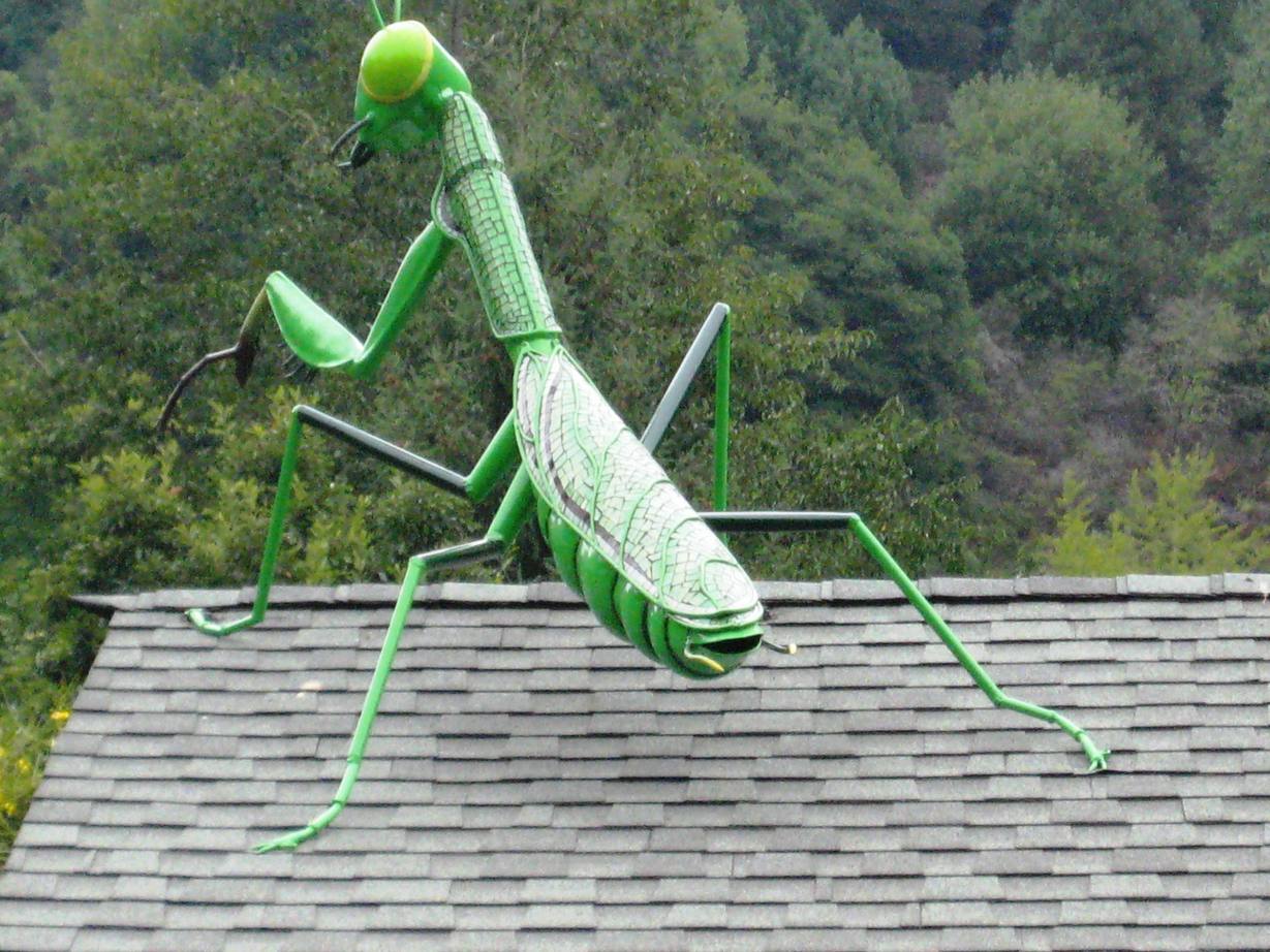 �J���L���u���O