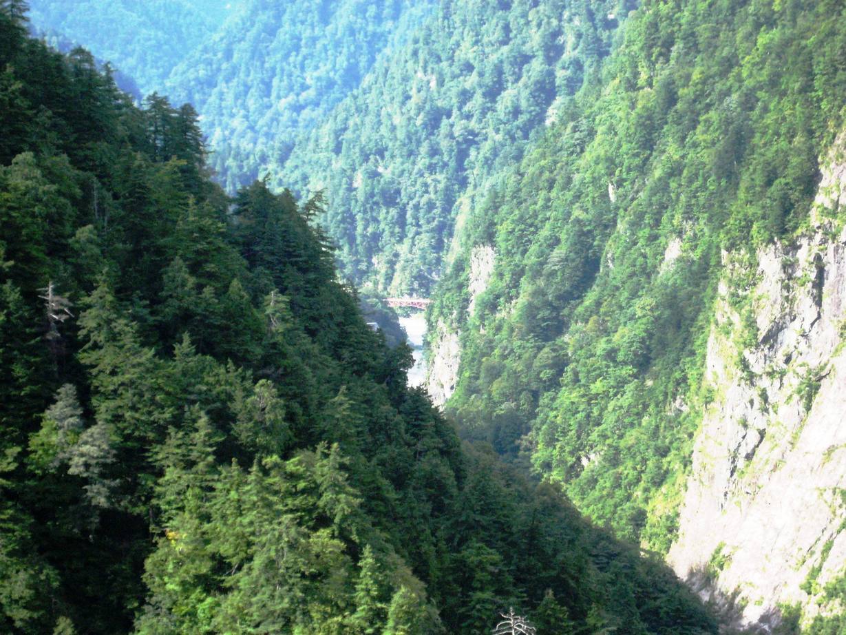 �J���L���u���O