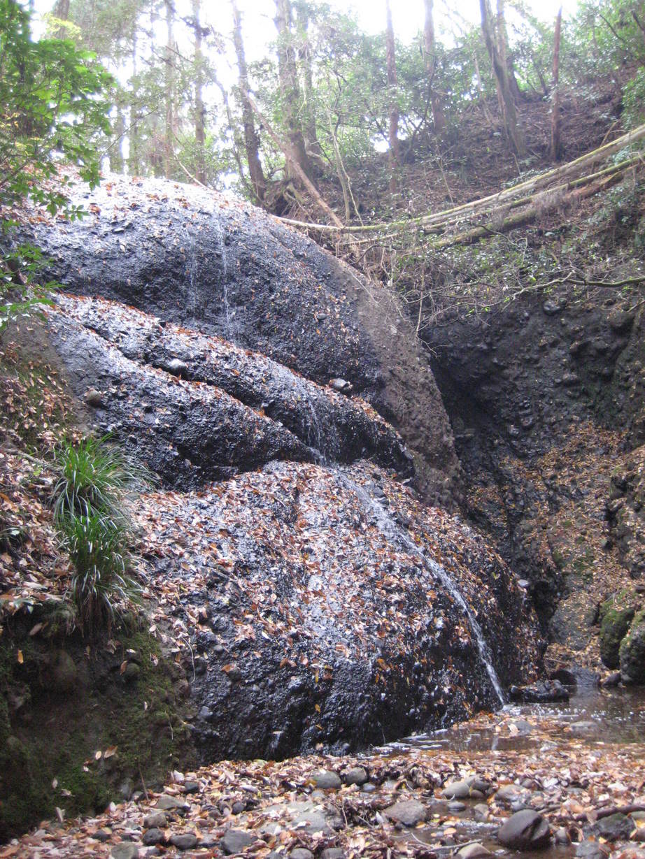 �J���L���u���O