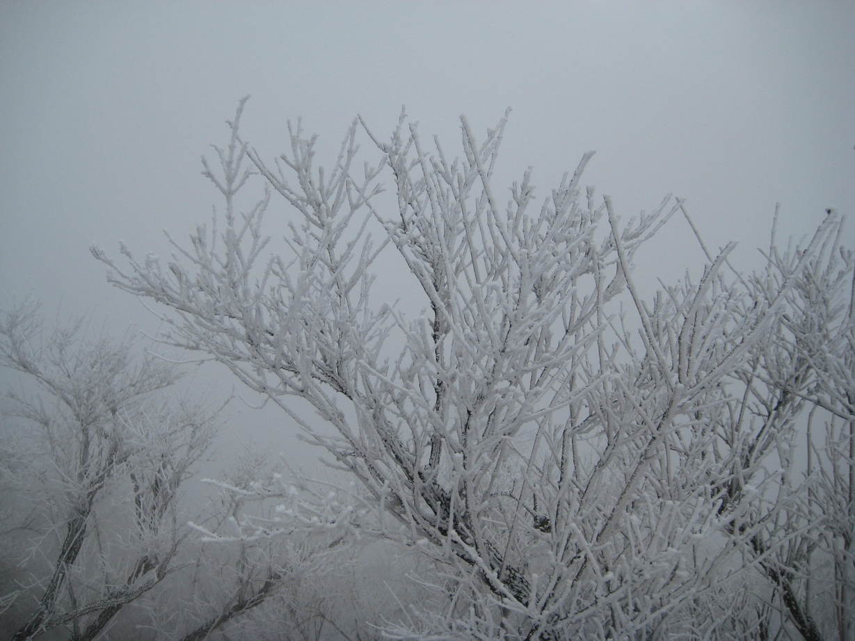 �J���L���u���O