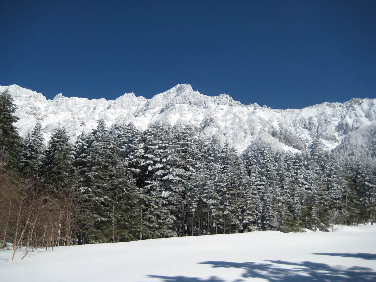 �J���L���u���O