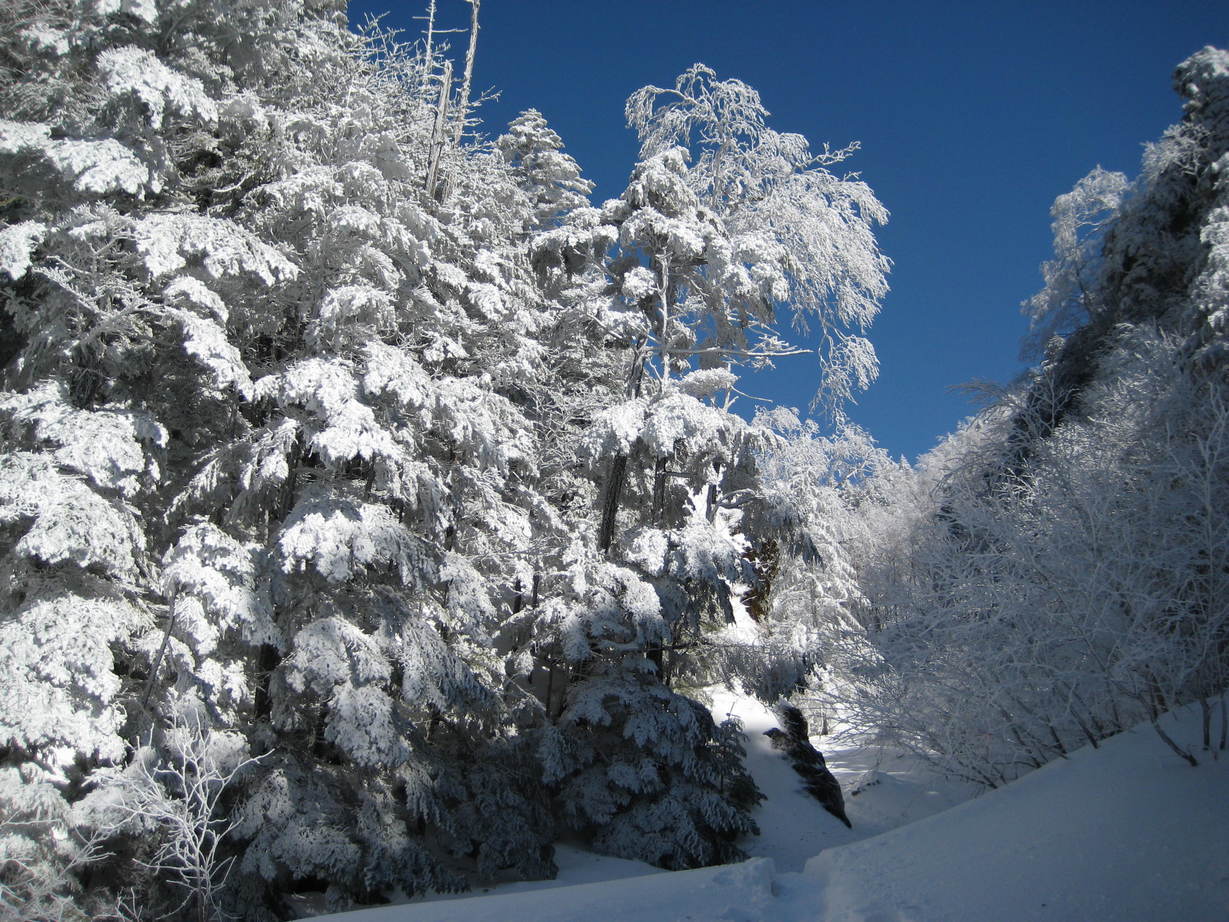 �J���L���u���O