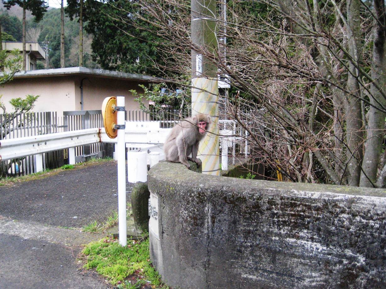 �J���L���u���O