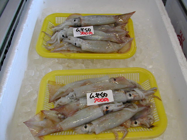 (�L)��萅�Y�@�����N���E�����������X�@�u���O