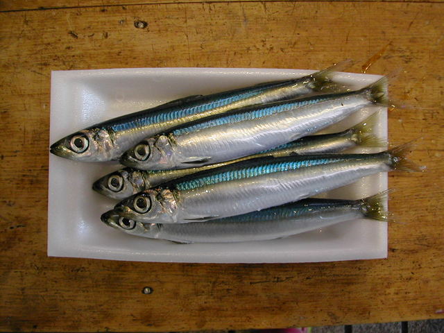 (�L)��萅�Y�@�����N���E�����������X�@�u���O