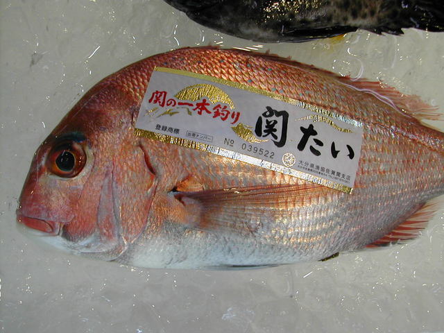 (�L)��萅�Y�@�����N���E�����������X�@�u���O