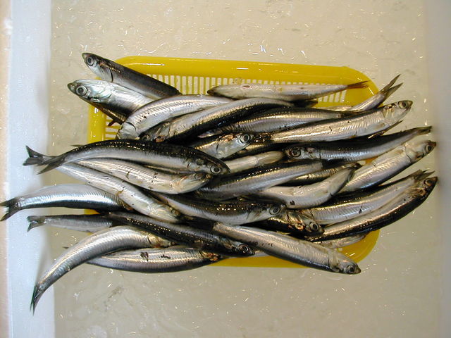 (�L)��萅�Y�@�����N���E�����������X�@�u���O