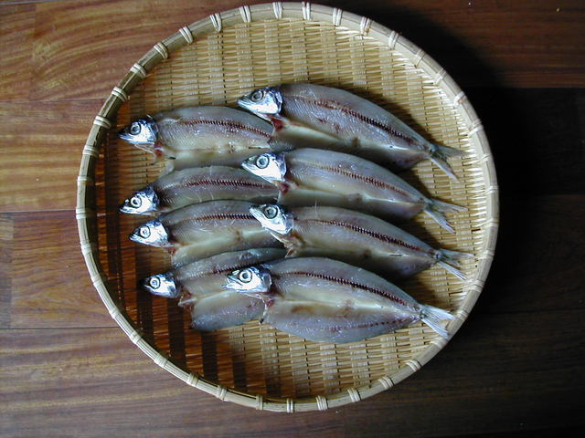 (�L)��萅�Y�@�����N���E�����������X�@�u���O