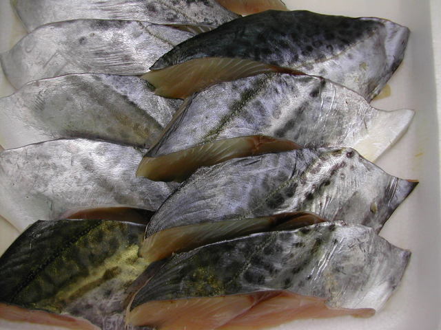 (�L)��萅�Y�@�����N���E�����������X�@�u���O