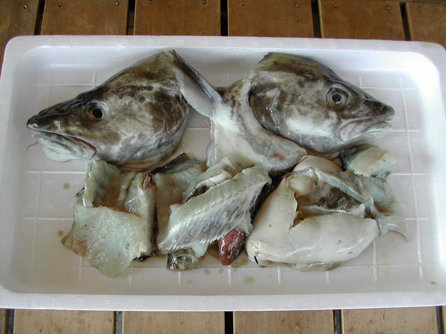 (�L)��萅�Y�@�����N���E�����������X�@�u���O