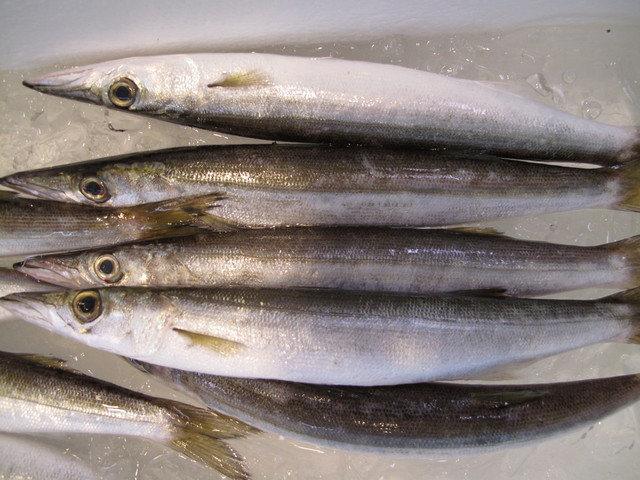 (�L)��萅�Y�@�����N���E�����������X�@�u���O