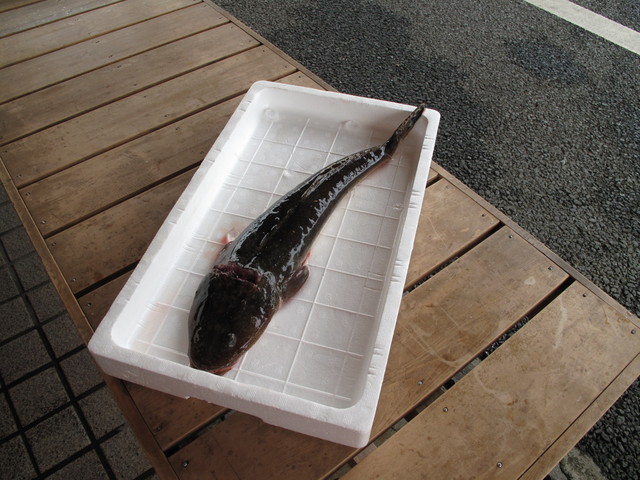 (�L)��萅�Y�@�����N���E�����������X�@�u���O