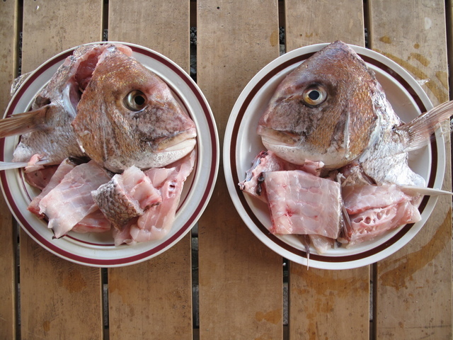 (�L)��萅�Y�@�����N���E�����������X�@�u���O