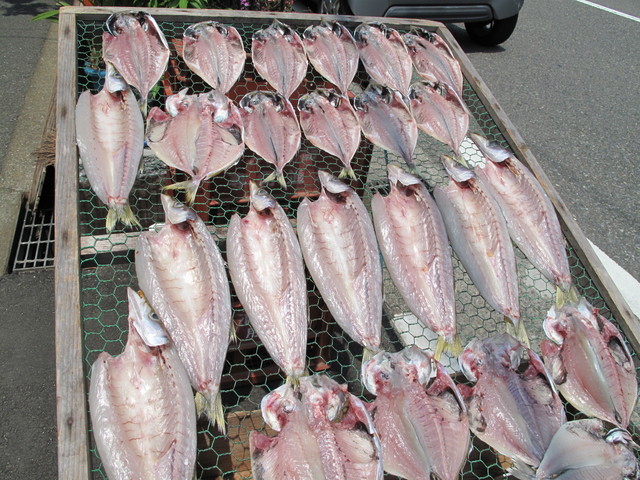 (�L)��萅�Y�@�����N���E�����������X�@�u���O