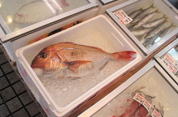 (�L)��萅�Y�@�����N���E�����������X�@�u���O