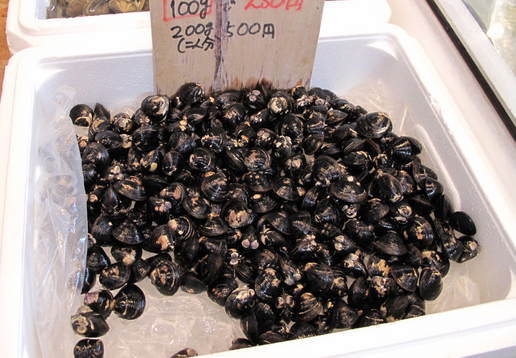 (�L)��萅�Y�@�����N���E�����������X�@�u���O