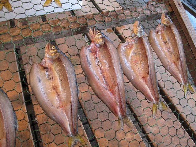 (�L)��萅�Y�@�����N���E�����������X�@�u���O