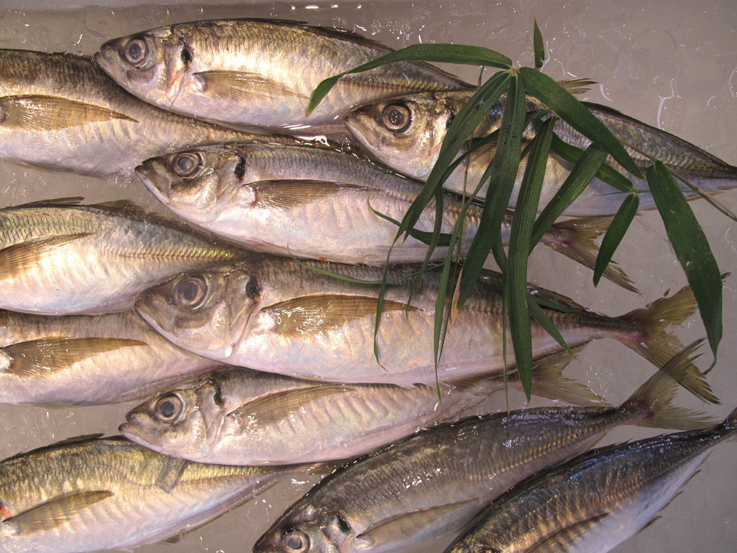 (�L)��萅�Y�@�����N���E�����������X�@�u���O