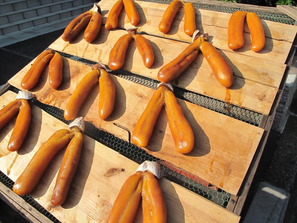 (�L)��萅�Y�@�����N���E�����������X�@�u���O