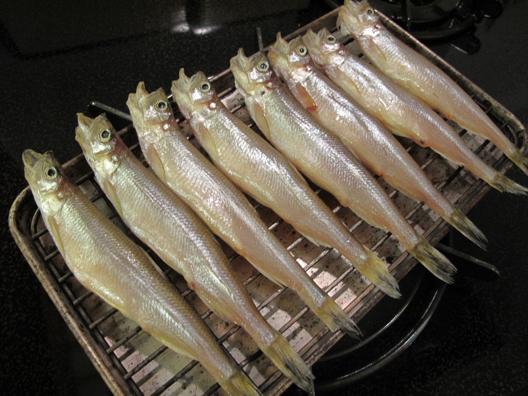 (�L)��萅�Y�@�����N���E�����������X�@�u���O