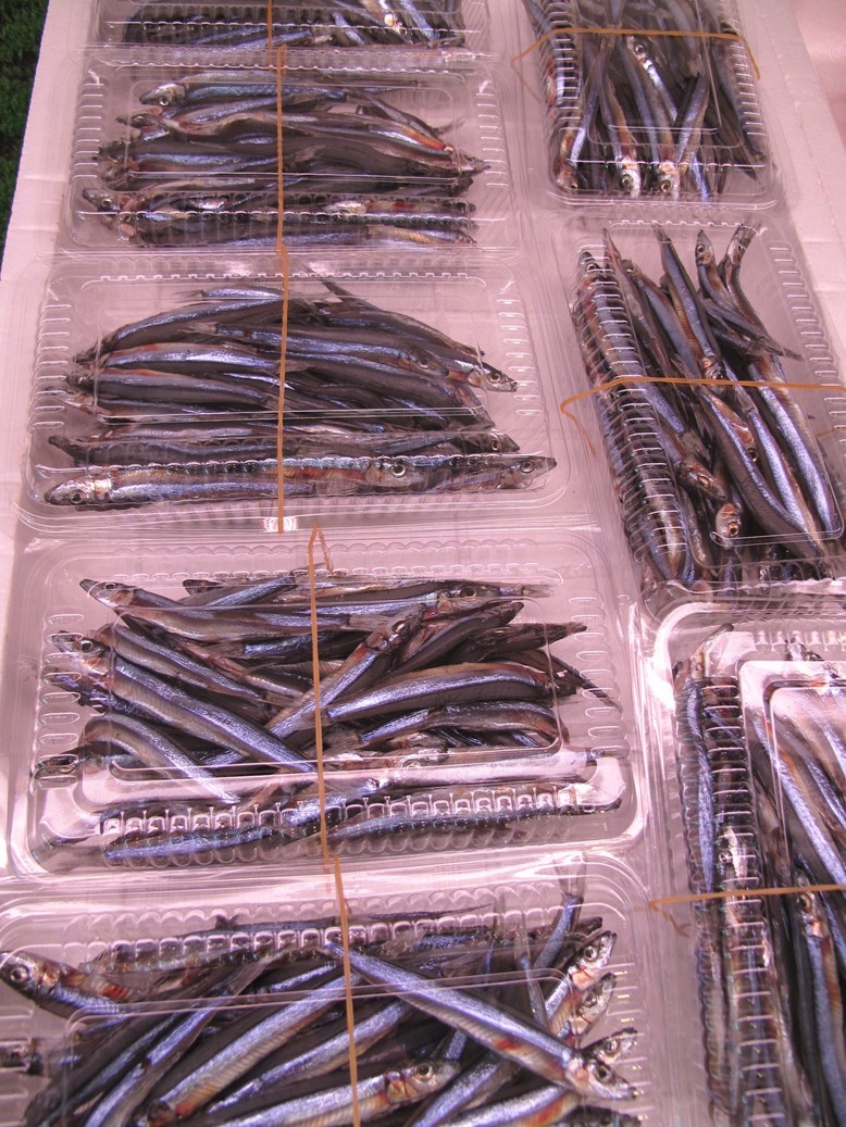 (�L)��萅�Y�@�����N���E�����������X�@�u���O