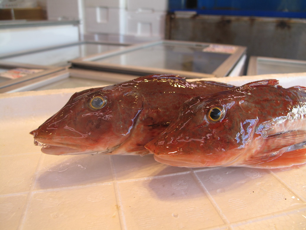 (�L)��萅�Y�@�����N���E�����������X�@�u���O