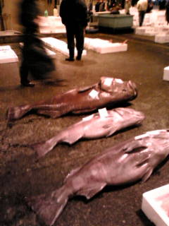 (�L)��萅�Y�@�����N���E�����������X�@�u���O