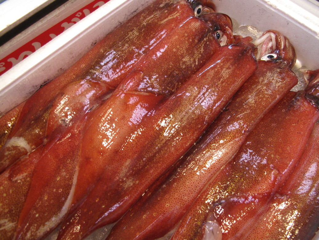 (�L)��萅�Y�@�����N���E�����������X�@�u���O