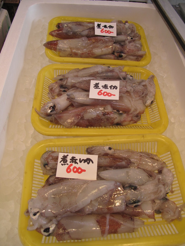 (�L)��萅�Y�@�����N���E�����������X�@�u���O