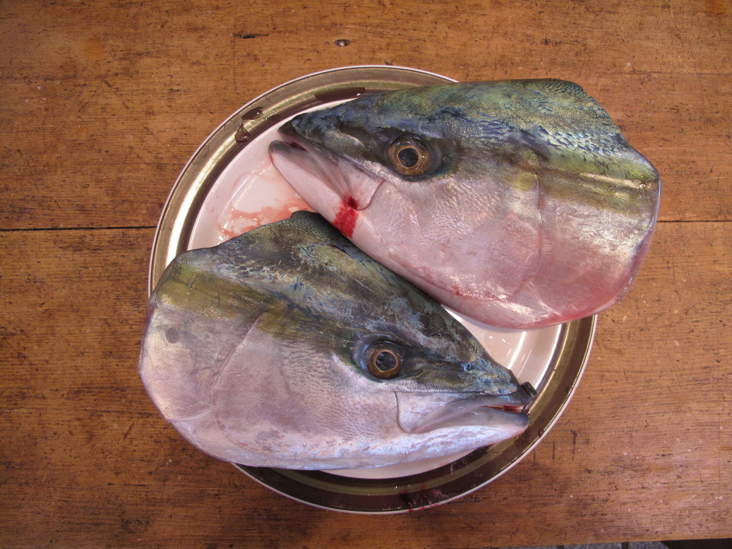 (�L)��萅�Y�@�����N���E�����������X�@�u���O