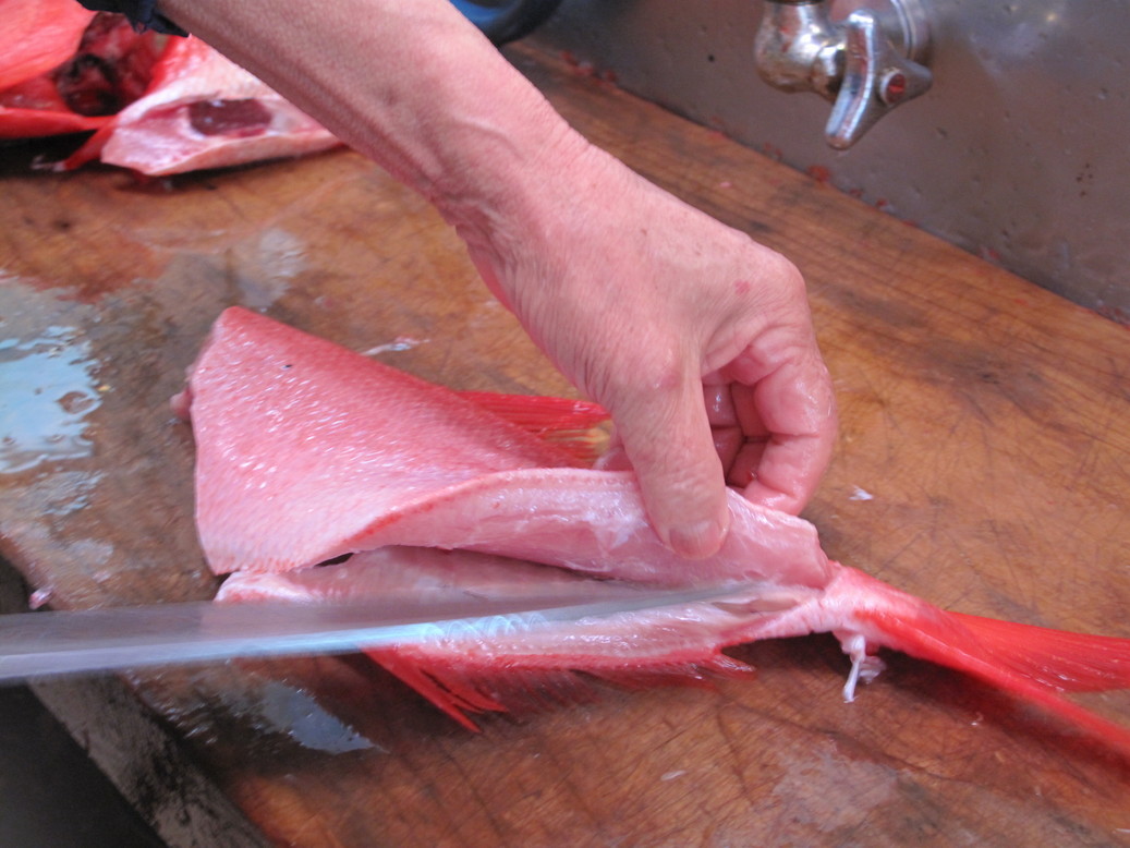 (�L)��萅�Y�@�����N���E�����������X�@�u���O