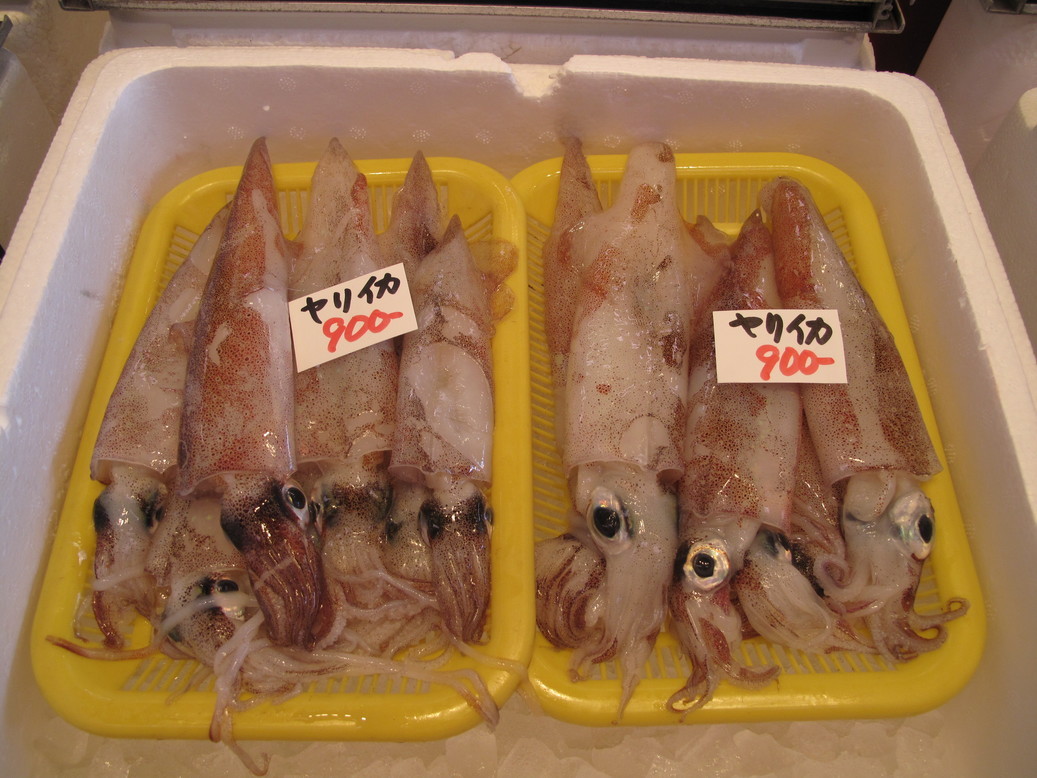 (�L)��萅�Y�@�����N���E�����������X�@�u���O