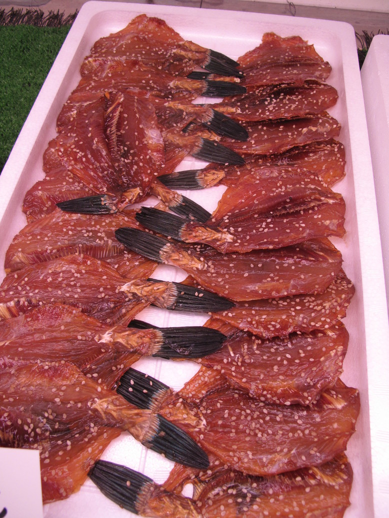 (�L)��萅�Y�@�����N���E�����������X�@�u���O