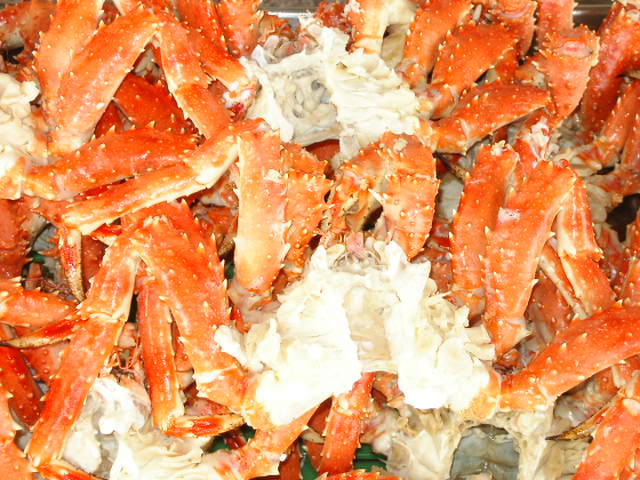 (�L)��萅�Y�@�����N���E�����������X�@�u���O