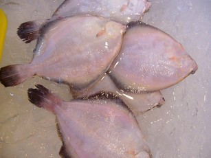 (�L)��萅�Y�@�����N���E�����������X�@�u���O