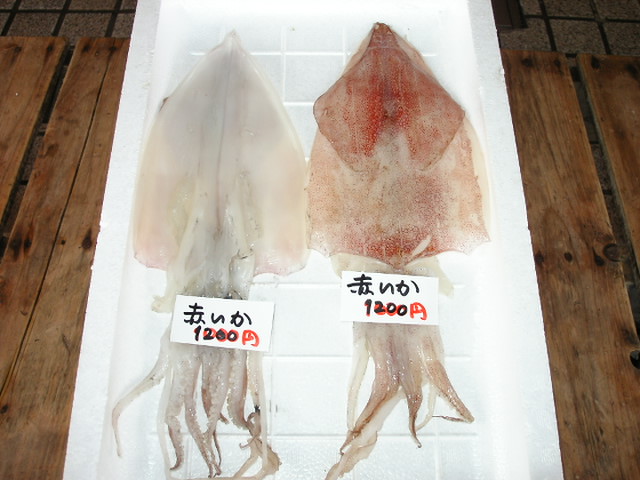 (�L)��萅�Y�@�����N���E�����������X�@�u���O