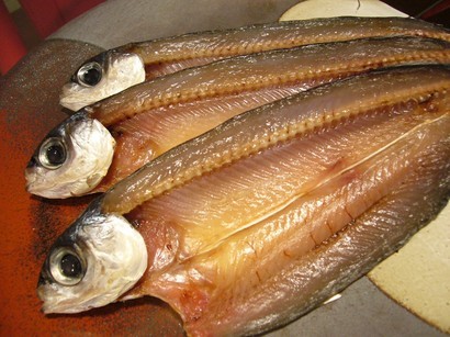 (�L)��萅�Y�@�����N���E�����������X�@�u���O