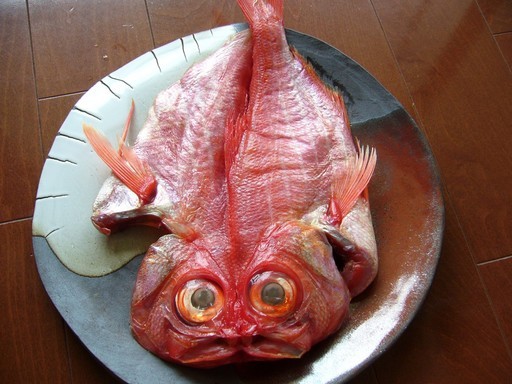 (�L)��萅�Y�@�����N���E�����������X�@�u���O