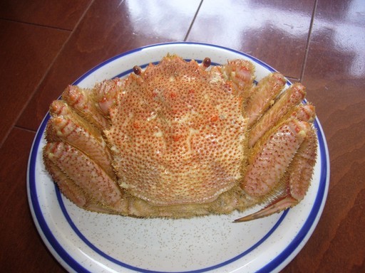 (�L)��萅�Y�@�����N���E�����������X�@�u���O