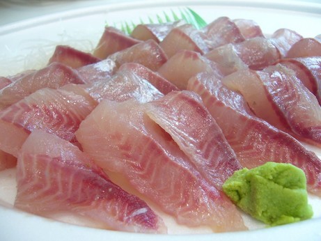 (�L)��萅�Y�@�����N���E�����������X�@�u���O