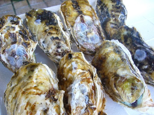 (�L)��萅�Y�@�����N���E�����������X�@�u���O