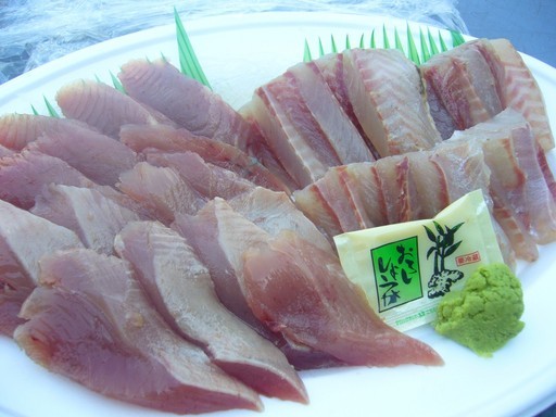 (�L)��萅�Y�@�����N���E�����������X�@�u���O