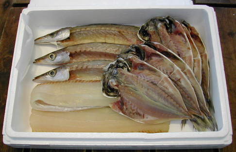 (�L)��萅�Y�@�����N���E�����������X�@�u���O