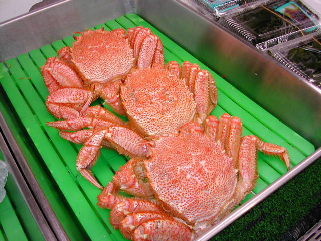 (�L)��萅�Y�@�����N���E�����������X�@�u���O